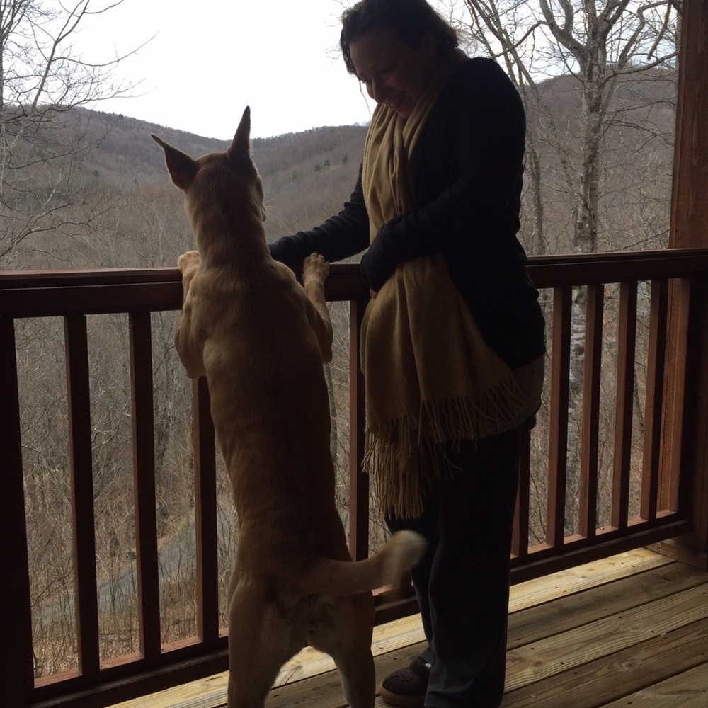 Hi, I’m Kristen. Welcome To POSHSTREETLUXE!